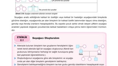 10. Sınıf Dörtel Yayıncılık Biyoloji Ders Kitabı Sayfa 84 Cevapları