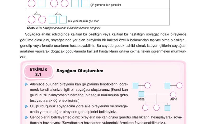 10. Sınıf Dörtel Yayıncılık Biyoloji Ders Kitabı Sayfa 84 Cevapları