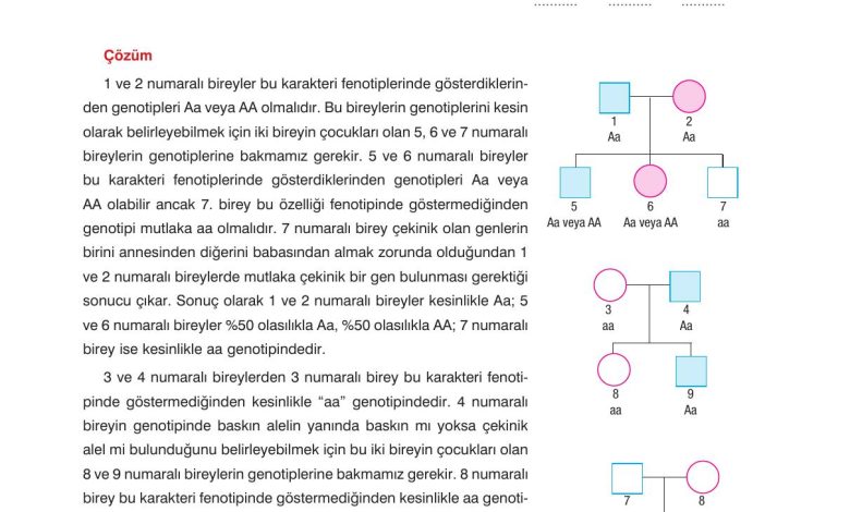 10. Sınıf Dörtel Yayıncılık Biyoloji Ders Kitabı Sayfa 85 Cevapları