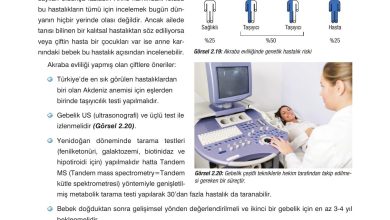 10. Sınıf Dörtel Yayıncılık Biyoloji Ders Kitabı Sayfa 88 Cevapları