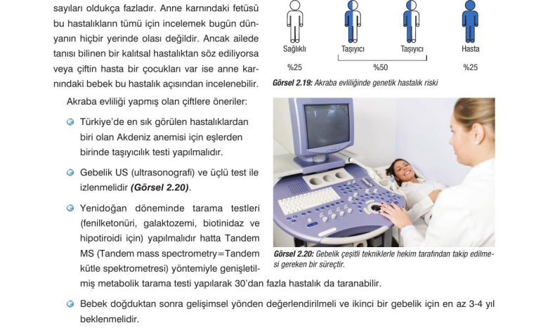 10. Sınıf Dörtel Yayıncılık Biyoloji Ders Kitabı Sayfa 88 Cevapları