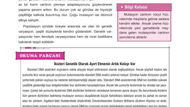 10. Sınıf Dörtel Yayıncılık Biyoloji Ders Kitabı Sayfa 89 Cevapları