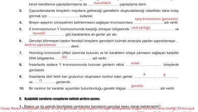 10. Sınıf Dörtel Yayıncılık Biyoloji Ders Kitabı Sayfa 91 Cevapları