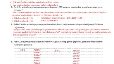 10. Sınıf Dörtel Yayıncılık Biyoloji Ders Kitabı Sayfa 92 Cevapları