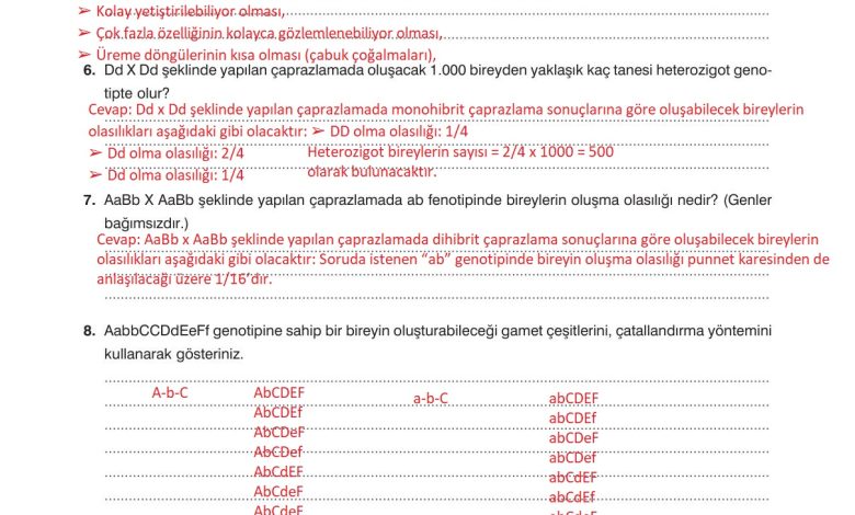 10. Sınıf Dörtel Yayıncılık Biyoloji Ders Kitabı Sayfa 92 Cevapları