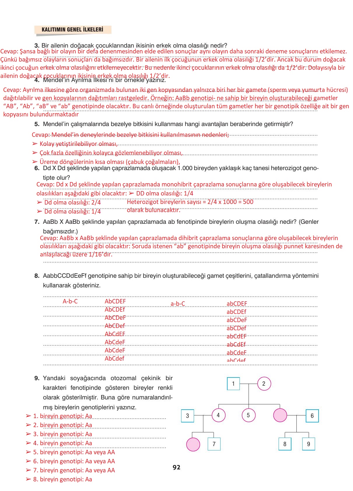10. Sınıf Dörtel Yayıncılık Biyoloji Ders Kitabı Sayfa 92 Cevapları
