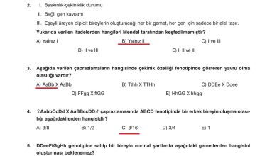 10. Sınıf Dörtel Yayıncılık Biyoloji Ders Kitabı Sayfa 93 Cevapları