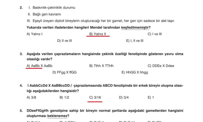 10. Sınıf Dörtel Yayıncılık Biyoloji Ders Kitabı Sayfa 93 Cevapları