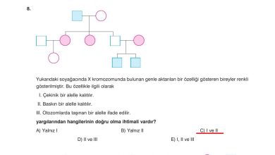 10. Sınıf Dörtel Yayıncılık Biyoloji Ders Kitabı Sayfa 94 Cevapları