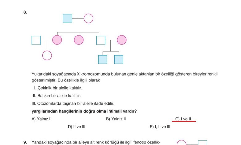 10. Sınıf Dörtel Yayıncılık Biyoloji Ders Kitabı Sayfa 94 Cevapları