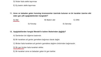 10. Sınıf Dörtel Yayıncılık Biyoloji Ders Kitabı Sayfa 95 Cevapları