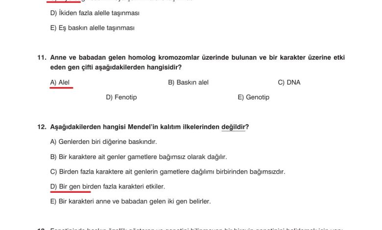 10. Sınıf Dörtel Yayıncılık Biyoloji Ders Kitabı Sayfa 95 Cevapları