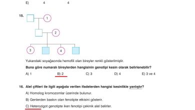 10. Sınıf Dörtel Yayıncılık Biyoloji Ders Kitabı Sayfa 96 Cevapları