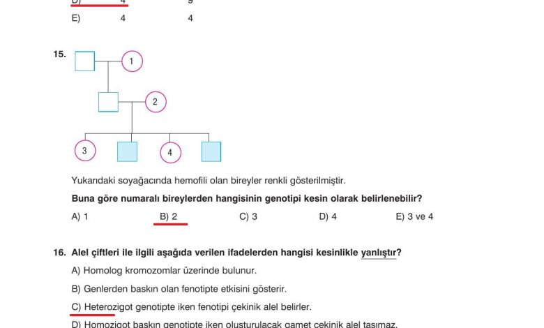 10. Sınıf Dörtel Yayıncılık Biyoloji Ders Kitabı Sayfa 96 Cevapları