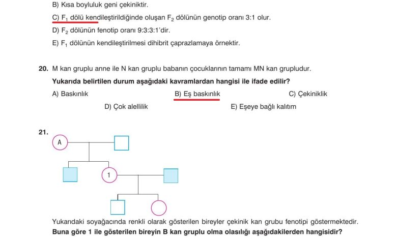 10. Sınıf Dörtel Yayıncılık Biyoloji Ders Kitabı Sayfa 97 Cevapları