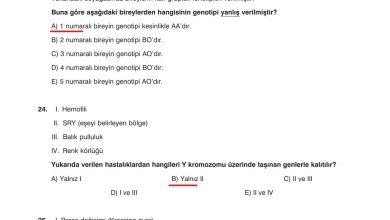 10. Sınıf Dörtel Yayıncılık Biyoloji Ders Kitabı Sayfa 98 Cevapları