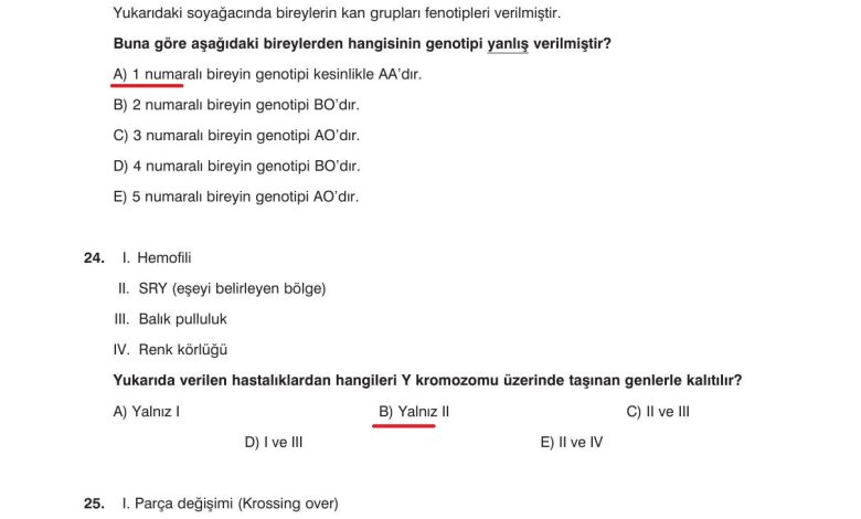 10. Sınıf Dörtel Yayıncılık Biyoloji Ders Kitabı Sayfa 98 Cevapları