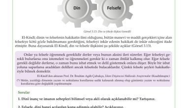 10. Sınıf Meb Yayınları Felsefe Ders Kitabı Sayfa 100 Cevapları