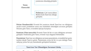 10. Sınıf Meb Yayınları Felsefe Ders Kitabı Sayfa 102 Cevapları