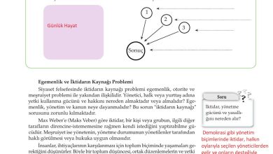 10. Sınıf Meb Yayınları Felsefe Ders Kitabı Sayfa 111 Cevapları