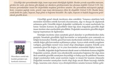 10. Sınıf Meb Yayınları Felsefe Ders Kitabı Sayfa 118 Cevapları