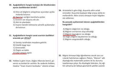 10. Sınıf Meb Yayınları Felsefe Ders Kitabı Sayfa 128 Cevapları