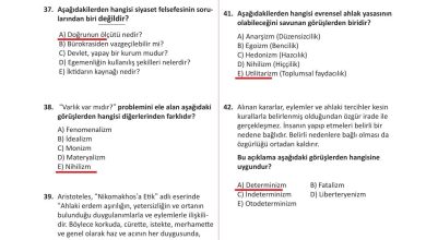 10. Sınıf Meb Yayınları Felsefe Ders Kitabı Sayfa 129 Cevapları