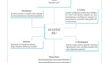 10. Sınıf Meb Yayınları Felsefe Ders Kitabı Sayfa 14 Cevapları