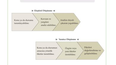 10. Sınıf Meb Yayınları Felsefe Ders Kitabı Sayfa 144 Cevapları