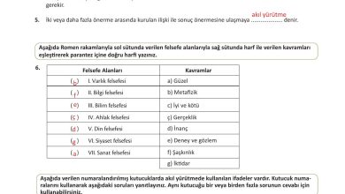 10. Sınıf Meb Yayınları Felsefe Ders Kitabı Sayfa 147 Cevapları