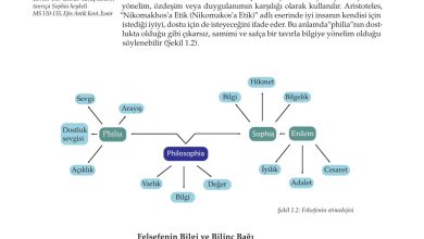 10. Sınıf Meb Yayınları Felsefe Ders Kitabı Sayfa 18 Cevapları