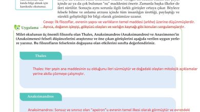 10. Sınıf Meb Yayınları Felsefe Ders Kitabı Sayfa 24 Cevapları