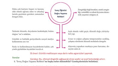 10. Sınıf Meb Yayınları Felsefe Ders Kitabı Sayfa 31 Cevapları