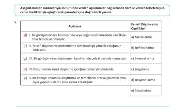 10. Sınıf Meb Yayınları Felsefe Ders Kitabı Sayfa 32 Cevapları