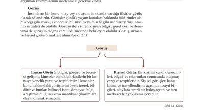 10. Sınıf Meb Yayınları Felsefe Ders Kitabı Sayfa 39 Cevapları