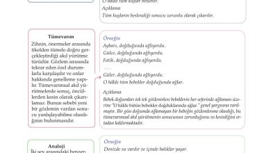 10. Sınıf Meb Yayınları Felsefe Ders Kitabı Sayfa 41 Cevapları