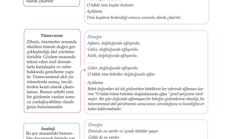 10. Sınıf Meb Yayınları Felsefe Ders Kitabı Sayfa 41 Cevapları