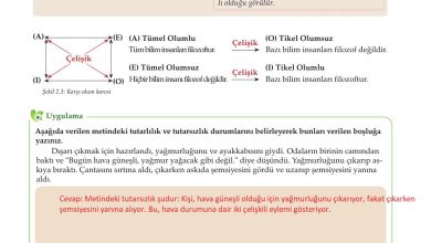 10. Sınıf Meb Yayınları Felsefe Ders Kitabı Sayfa 42 Cevapları