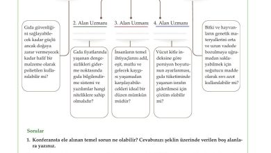 10. Sınıf Meb Yayınları Felsefe Ders Kitabı Sayfa 52 Cevapları