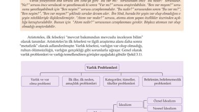 10. Sınıf Meb Yayınları Felsefe Ders Kitabı Sayfa 67 Cevapları