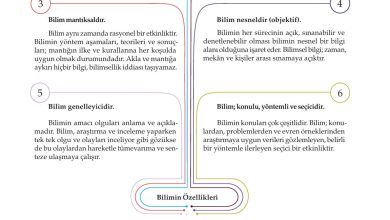 10. Sınıf Meb Yayınları Felsefe Ders Kitabı Sayfa 84 Cevapları