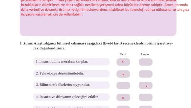 10. Sınıf Meb Yayınları Felsefe Ders Kitabı Sayfa 89 Cevapları