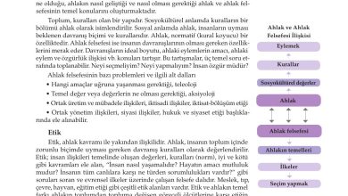 10. Sınıf Meb Yayınları Felsefe Ders Kitabı Sayfa 91 Cevapları