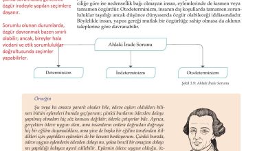 10. Sınıf Meb Yayınları Felsefe Ders Kitabı Sayfa 94 Cevapları