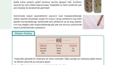 10. Sınıf Meb Yayınları Matematik Ders Kitabı Sayfa 13 Cevapları