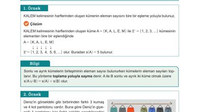 10. Sınıf Meb Yayınları Matematik Ders Kitabı Sayfa 14 Cevapları