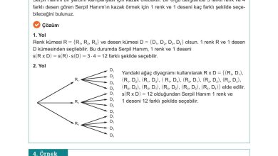 10. Sınıf Meb Yayınları Matematik Ders Kitabı Sayfa 15 Cevapları