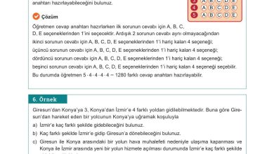 10. Sınıf Meb Yayınları Matematik Ders Kitabı Sayfa 16 Cevapları