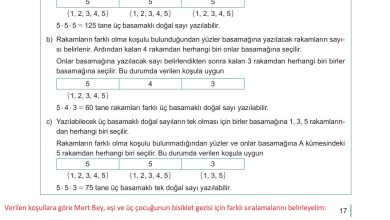 10. Sınıf Meb Yayınları Matematik Ders Kitabı Sayfa 17 Cevapları