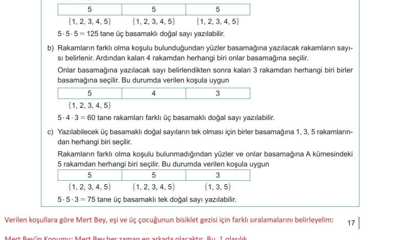 10. Sınıf Meb Yayınları Matematik Ders Kitabı Sayfa 17 Cevapları